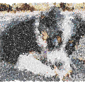 EMOJI-36-CB