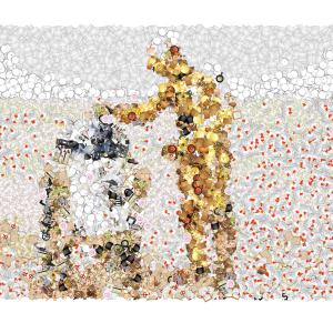 EMOJI-40-DRCP